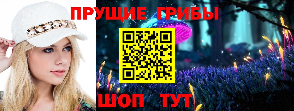 Псилоцибиновые грибы прущие грибы  Псилоцибиновые грибы Cubensis  Вход с VPN  Барнаул 