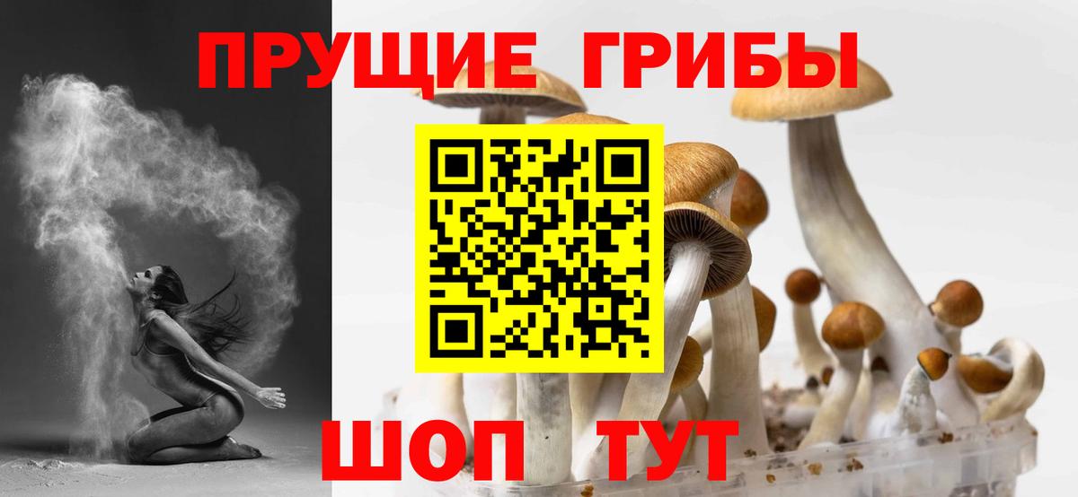 Галлюциногенные грибы ЛСД Барнаул